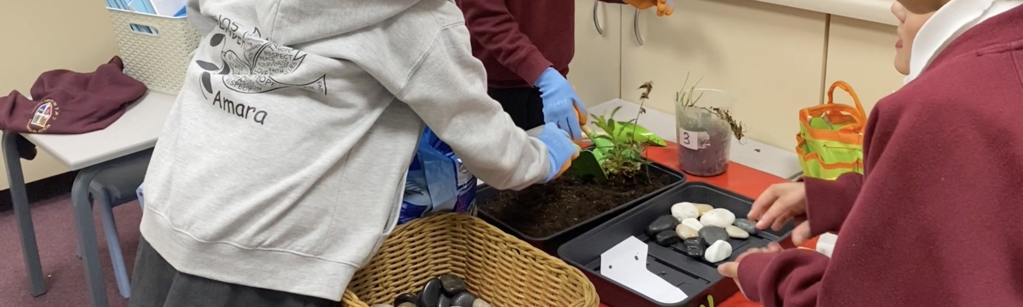 Ethos Activities os To Go The Parable of the Sower