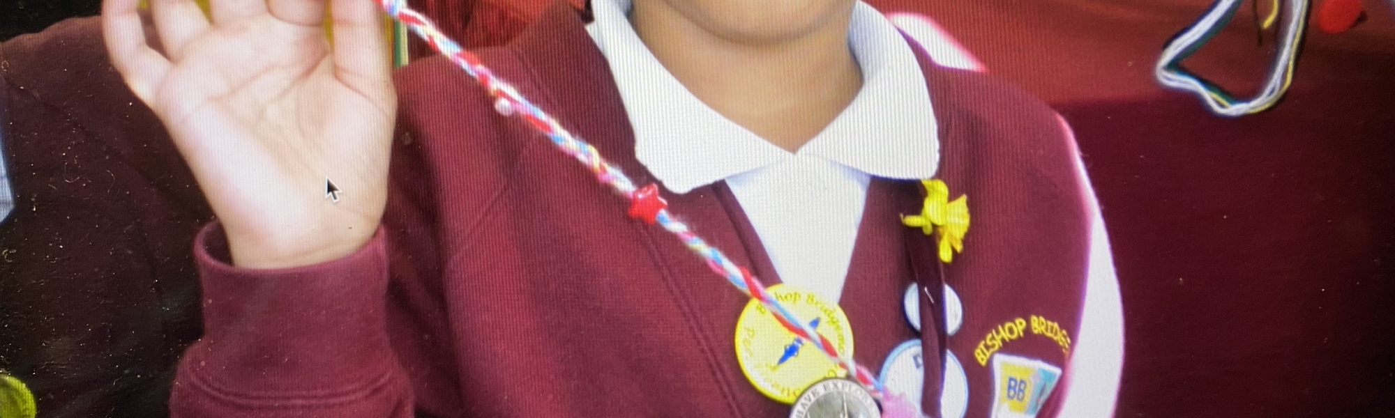 Friendship Bracelets 