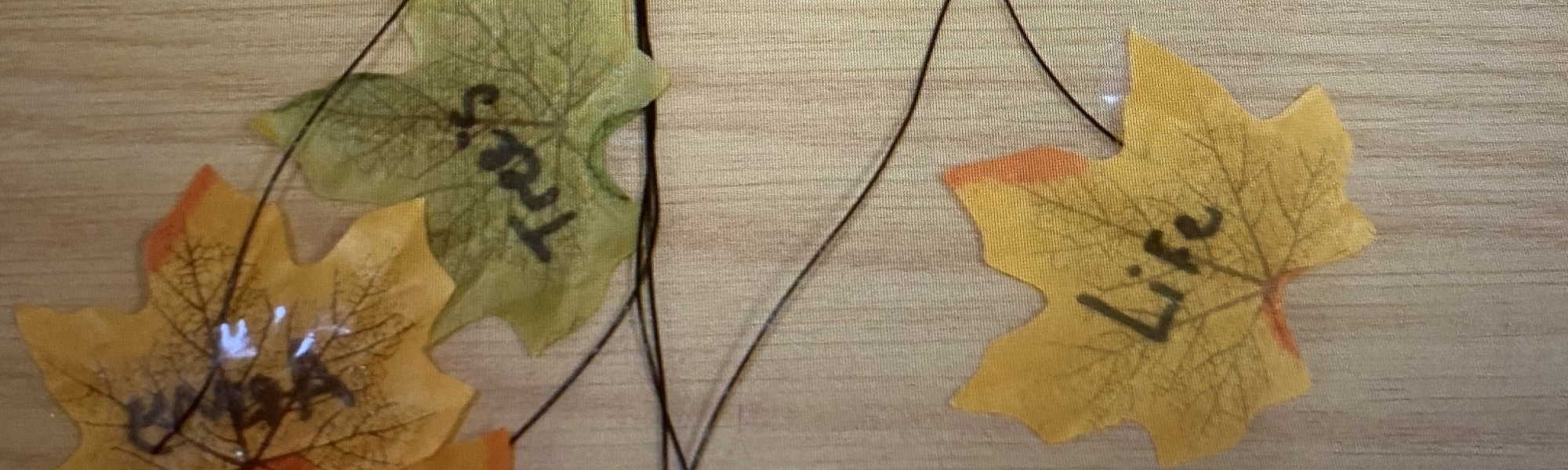 Give Thanks for Wreaths 2