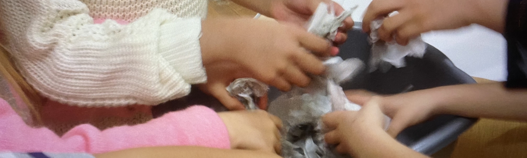 Giving Thanks for Nature