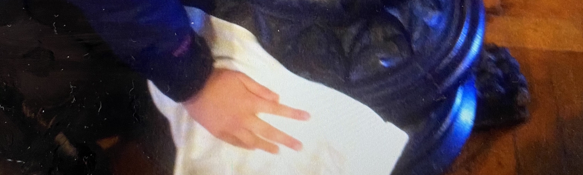 Helping and Giving 2