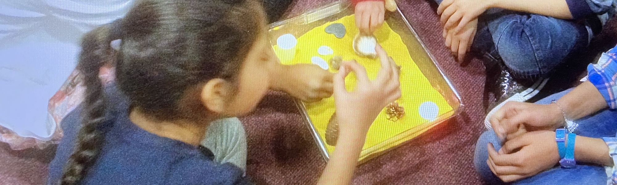 Miniature Meditation Garden 