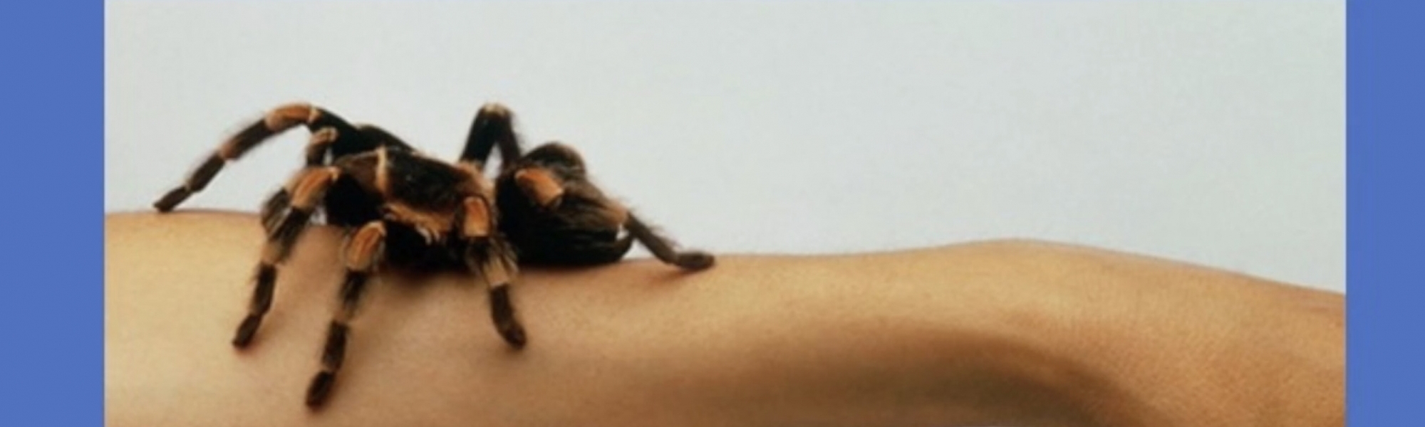 Worship 18/01/21 Gideon