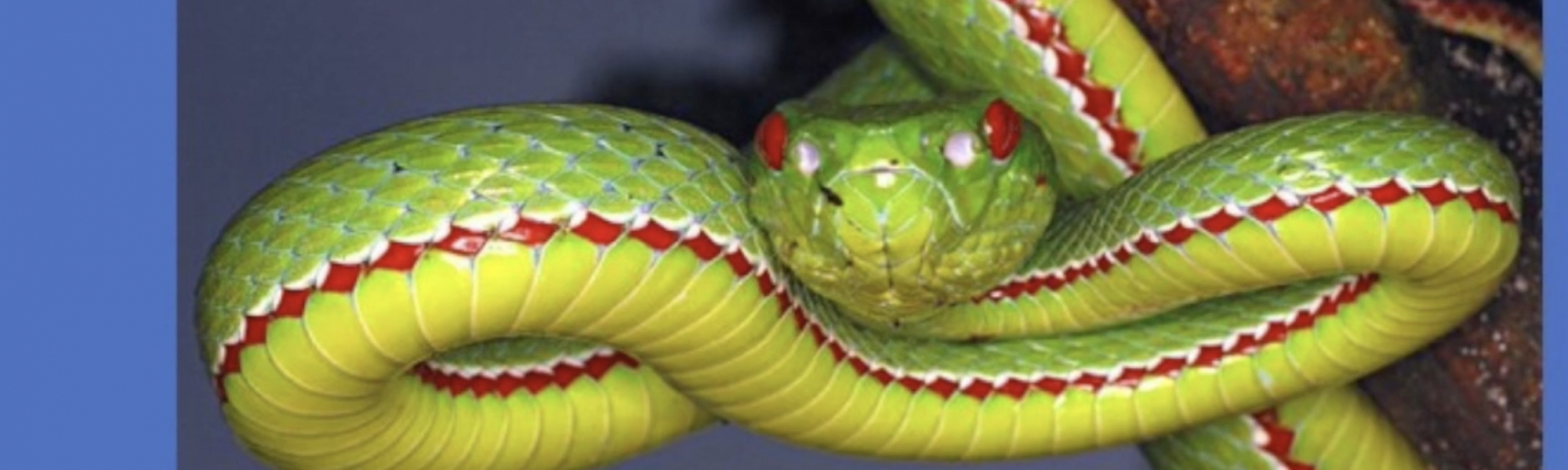 Worship 18/01/21 Gideon